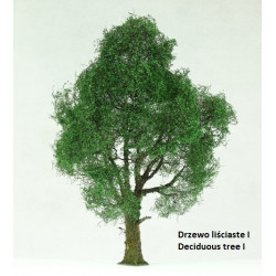 DECIDUOUS TREE I